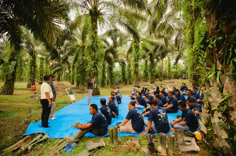 Musim Mas, Nestlé & AAK Renew Landmark Partnership for Sustainable Palm Oil